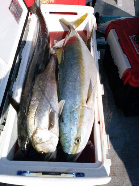 ありもと丸 釣果