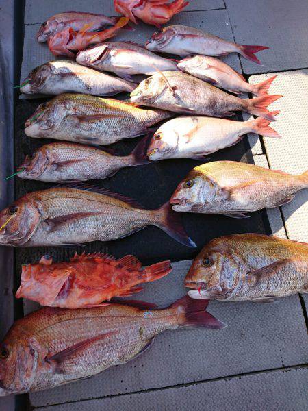 ブルースフィッシングサービス 釣果