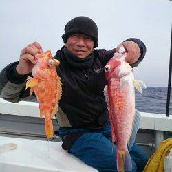 エンペラー 釣果