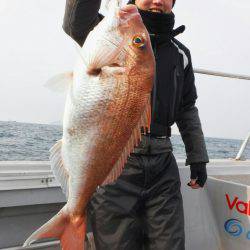 ブルースフィッシングサービス 釣果