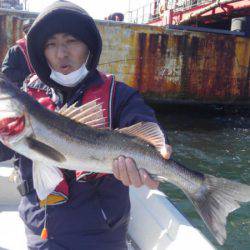 THESEAMAN(ザシーマン) 釣果