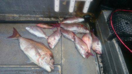 FISHING RISKY 釣果