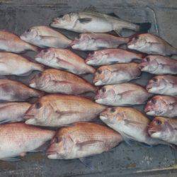 FISHING RISKY 釣果