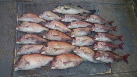 FISHING RISKY 釣果