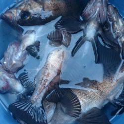海龍丸（石川） 釣果