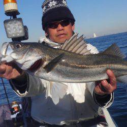 THESEAMAN(ザシーマン) 釣果