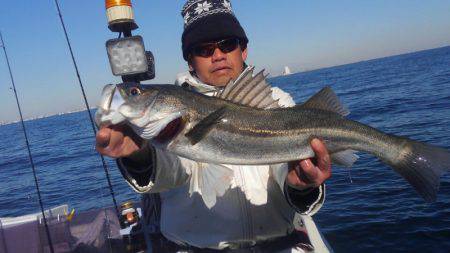 ＴＨＥＳＥＡＭＡＮ（ザシーマン） 釣果