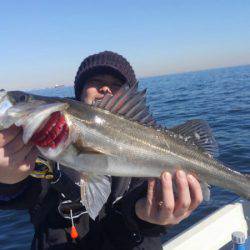 THESEAMAN(ザシーマン) 釣果