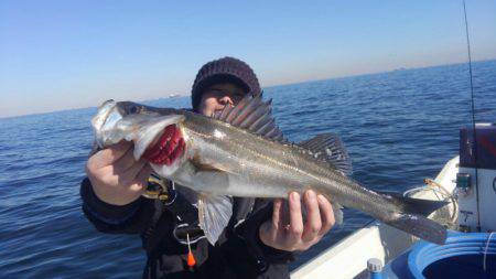 THESEAMAN(ザシーマン) 釣果