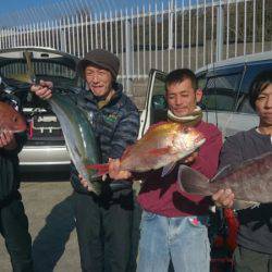 だて丸 釣果