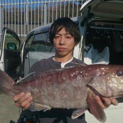だて丸 釣果
