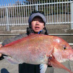 だて丸 釣果