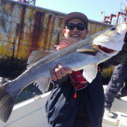 THESEAMAN(ザシーマン) 釣果