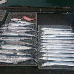 ARCADIAⅡ (アルカディアⅡ) 釣果