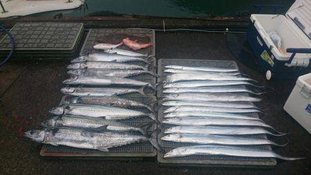 ARCADIAⅡ (アルカディアⅡ) 釣果