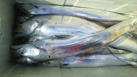 サンマリン 釣果