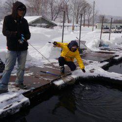 つりぼりあかし 釣果