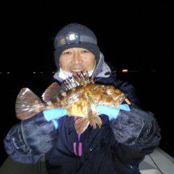 THESEAMAN(ザシーマン) 釣果