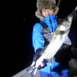 THESEAMAN(ザシーマン) 釣果