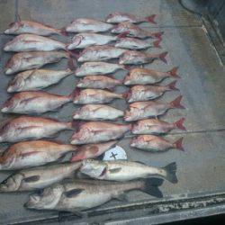 FISHING RISKY 釣果