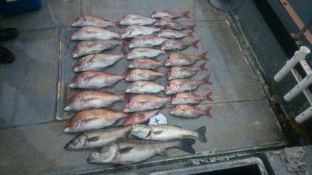 FISHING RISKY 釣果