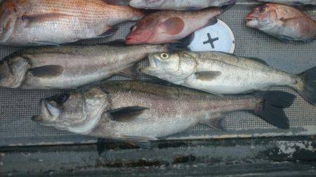 FISHING RISKY 釣果