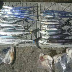 ARCADIAⅡ (アルカディアⅡ) 釣果