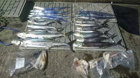 ARCADIAⅡ (アルカディアⅡ) 釣果