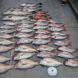 FISHING RISKY 釣果