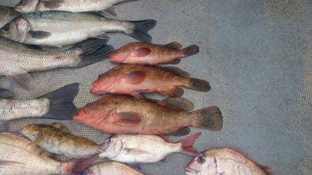 FISHING RISKY 釣果