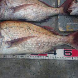 FISHING RISKY 釣果