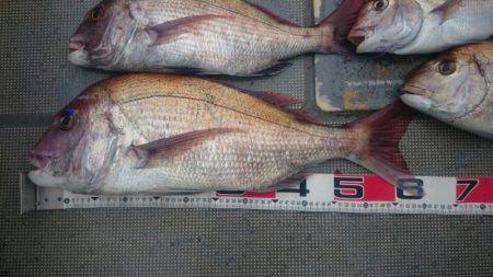 FISHING RISKY 釣果