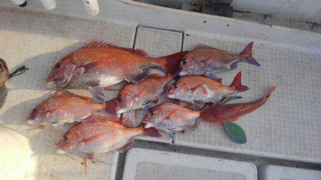 THESEAMAN(ザシーマン) 釣果