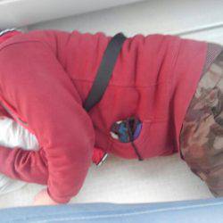 THESEAMAN(ザシーマン) 釣果