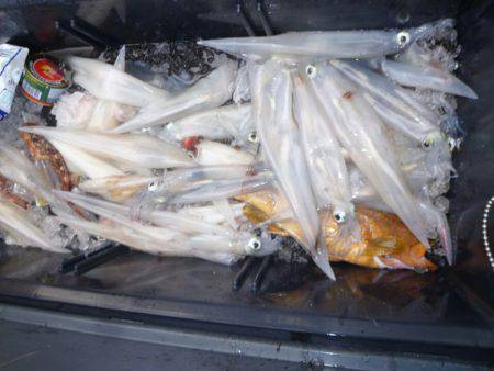 あみや渡船 JIGBOY 釣果