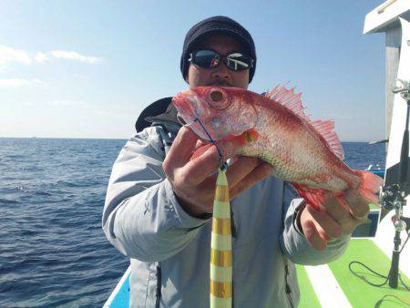 丸万釣船 釣果