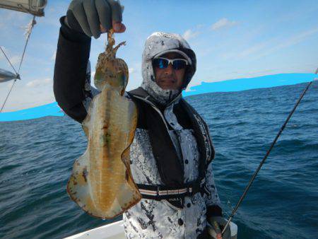 きずなまりん 釣果