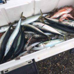 海龍丸（石川） 釣果