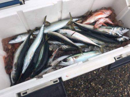 海龍丸（石川） 釣果