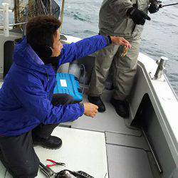 タイラバ遊漁船 ワンピース 釣果