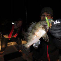 Chase（チェイス） 釣果