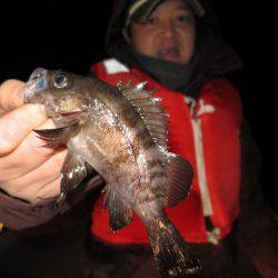 Chase（チェイス） 釣果