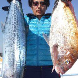 JDI Racing シールズマリンレジャー 釣果