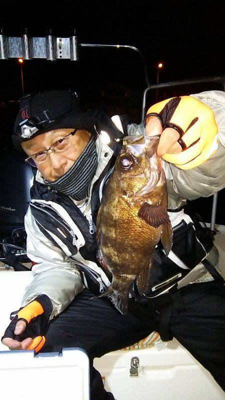 マリンガイド福丸 釣果