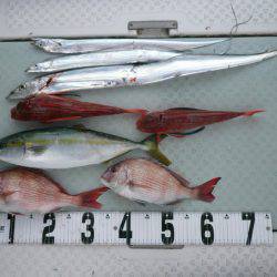 オーシャンスター(Ocean Star) 釣果