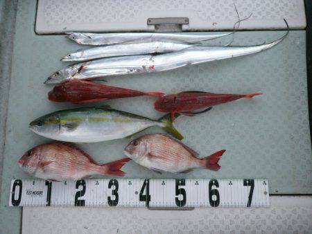 オーシャンスター(Ocean Star) …