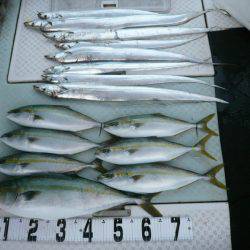 オーシャンスター(Ocean Star) 釣果