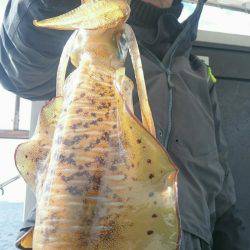 シースナイパー海龍 釣果