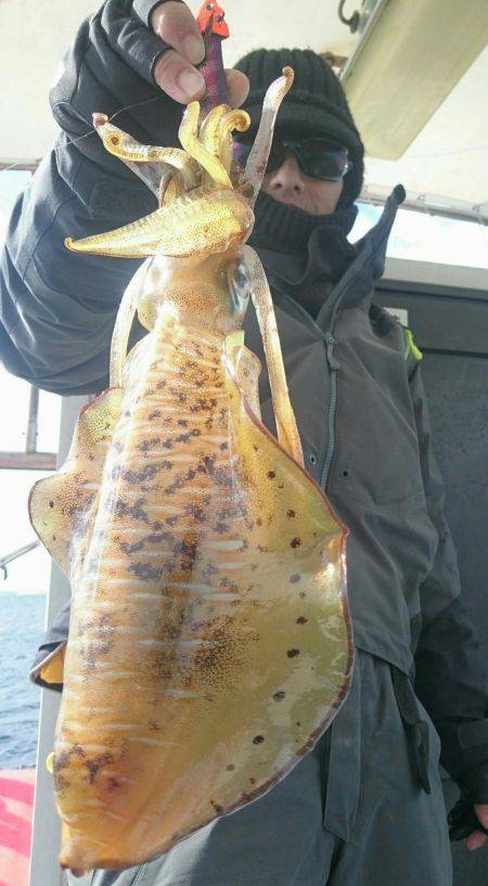 シースナイパー海龍 釣果