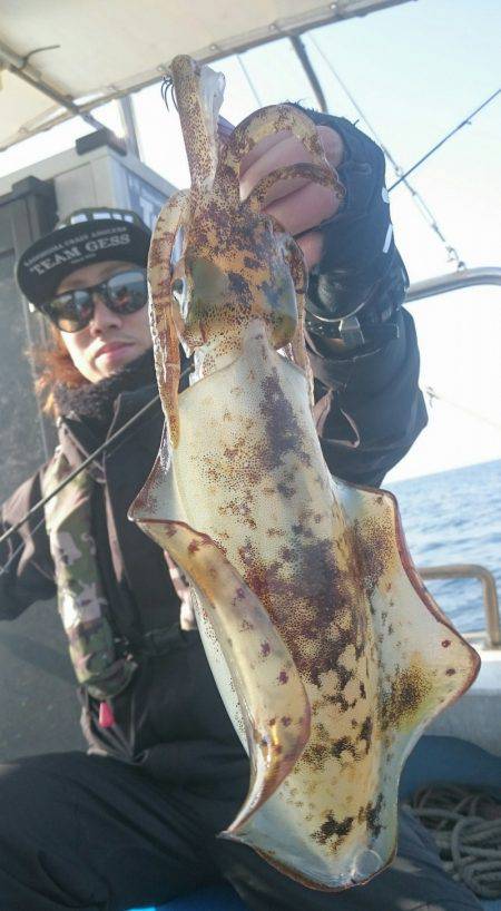 シースナイパー海龍 釣果